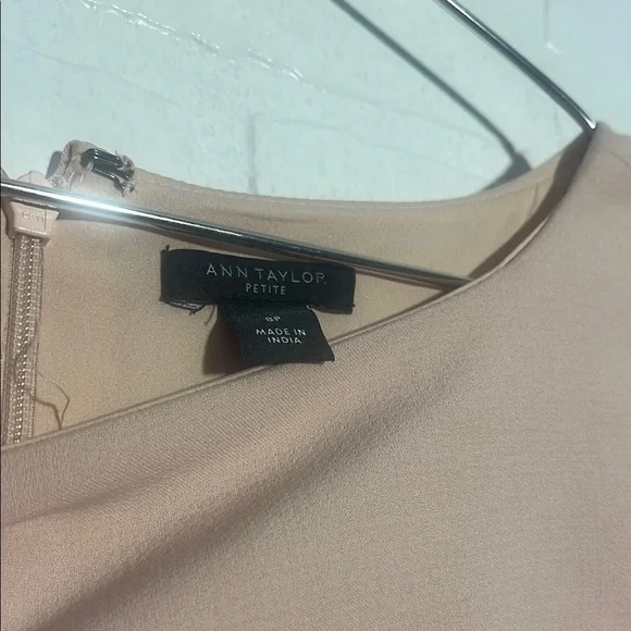 Ann Taylor Womens Dress Elegant Sleeveless Light Pink Sheath Dress Cocktail 8P - Picture 4 of 6